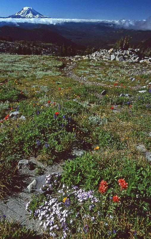 1996-09 Goat Rocks BkPk w Jeanne Steve 28.jpg